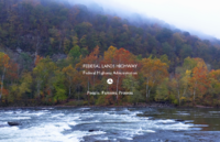 People Partners Projects