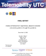 Analysis of Teleworkers Experiences Adoption Evolution and Activity Patterns Through the Pandemic