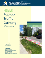 Primer PopUp Traffic Calming  Placemaking