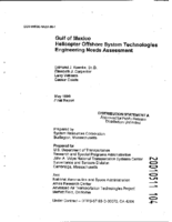 Gulf of Mexico Helicopter Offshore System Technologies Engineering Needs Assessment
