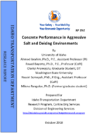 Concrete Performance in Aggressive Salt and Deicing Environments