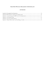 SinglePilot Workload Management in EntryLevel Jets Appendices