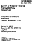 Survey of NonDestructive Tire Inspection Techniques