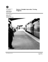 Review of Suicide Intervention Training Programs