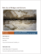 Bats Use of Bridges and Culverts