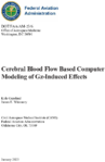 Cerebral Blood Flow Based Computer Modeling of GzInduced Effects