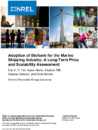 Adoption of Biofuels for the Marine Shipping Industry A LongTerm Price and Scalability Assessment