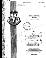 Neural control of the ciliary muscle