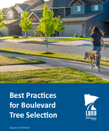Best Practices for Boulevard Tree Selection