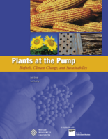 Plants at the Pump Biofuels Climate Change and Sustainability