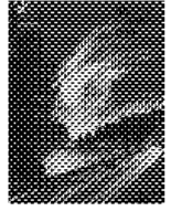 Highway Statistics 1989