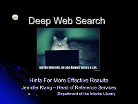 Deep Web Search Hints for More Effective Results
