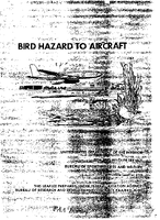 Bird Hazard To Aircraft