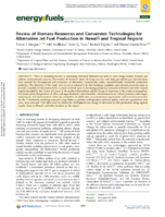 Review of Biomass Resources and Conversion Technologies for Alternative Jet Fuel Production in Hawaii and Tropical Regions