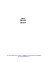 Recommendation of LightSquared Subsidiary LLC  the working group final report