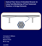 Optical Fiber SensorEmbedded Strands for LongTerm Monitoring of PostTensioned Tendons in Bridge Elements