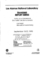 Traffic Jam Dynamics in Stochastic Cellular Automata