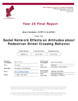 Social Network Effects on Attitudes about Pedestrian Street Crossing Behavior