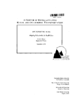 Adapting Safety Audits for Small Cities