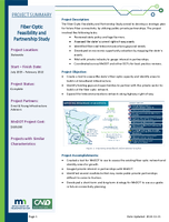 Project Summary Fiber Optic Feasibility and Partnership Study