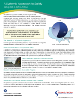 A Systemic Approach to Safety Using Risk to Drive Action