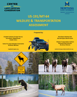 US191MT64 Wildlife  Transportation Assessment