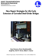 New Repair Strategies for LifeCycle Extension of Corroded Steel Girder Bridges