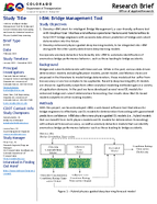iBM Bridge Management Tool Brief