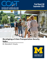 Developing a 3Item Transportation Security Index