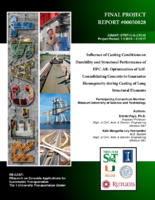 Influence of casting conditions on durability and structural performance of HPCAR  optimization of selfconsolidating concrete to guarantee homogeneity during casting of long structural elements  final report