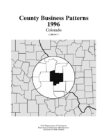 County Business Patterns 1996 Colorado