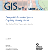 Geospatial Information System Capability Maturity Models