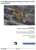 Leveraging Abandoned Railroad Tunnels for Bat Conservation