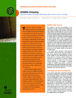 Wildlife Crossing WebConnected Cameras Offer Improved Monitoring for Highways