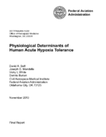 Physiological Determinants of Human Acute Hypoxia Tolerance