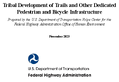 Tribal Development of Trails and Other Dedicated Pedestrian and Bicycle Infrastructure