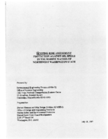 Scoping risk assessment  protection against oil spills in the marine waters of northwest Washington state