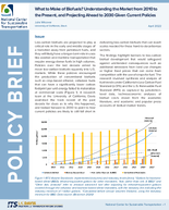 What to Make of Biofuels Understanding the Market from 2010 to the Present and Projecting Ahead to 2030 Given Current Policies Policy Brief