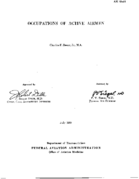 Occupations of active airmen