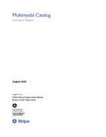 Multimodal Catalog Summary Report