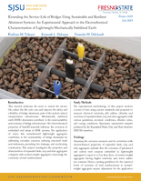 Extending the ServiceLife of Bridges Using Sustainable and Resilient Abutment Systems An Experimental Approach to the Electrochemical Characterization of Lightweight Mechanically Stabilized Earth Research Brief