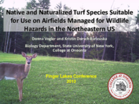 NonWildlifeAttracting Native and Naturalized Turf Species Suitable for Use on Airfields Managed for Wildlife Hazards in the Northeast
