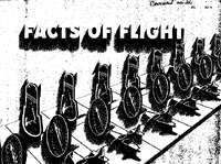 AC 004 Facts of Flight