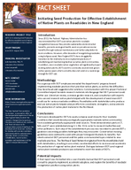 Initiating Seed Production for Effective Establishment of Native Plants on Roadsides in New England Fact Sheet