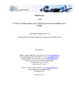 Modeling the Effect of Accessibility and Congestion in Location Choice