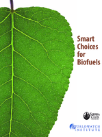 Smart Choices for Biofuels