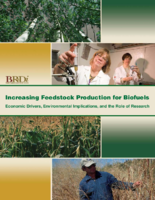 Increasing Feedstock Production for Biofuels Economic Drivers Environmental Implications and the Role of Research