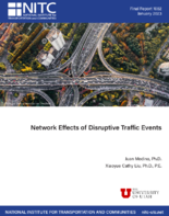 Network Effects of Disruptive Traffic Events
