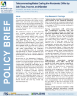 Telecommuting Rates During the Pandemic Differ by Job Type Income and Gender Policy Brief