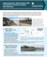 Using Natural Infrastructure to Protect Coastal Roads and Bridges flyer